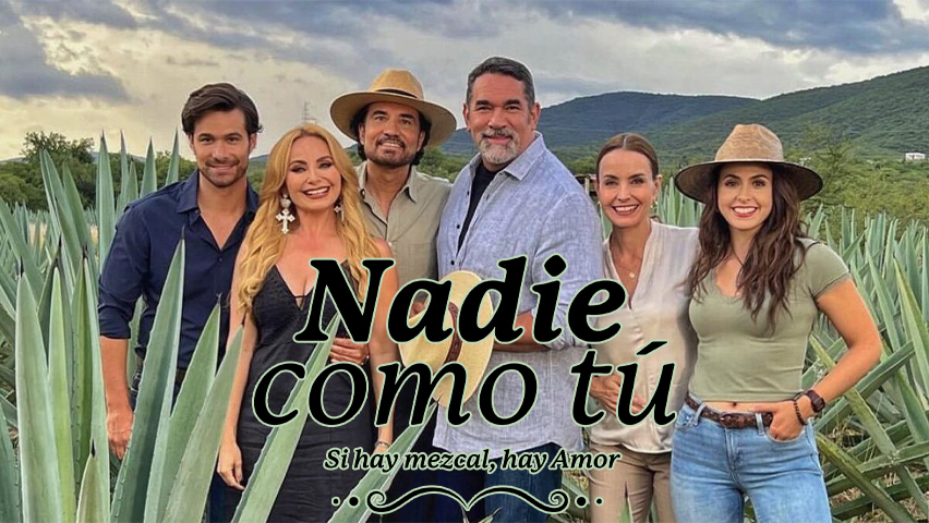 Nadie Como Tu Capitulo 100 Completo En HD